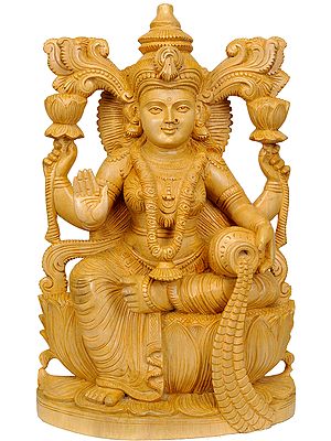 Goddess Lakshmi with Raining Coins