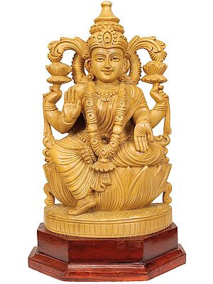 Lakshmi the Goddess Who Gives Money