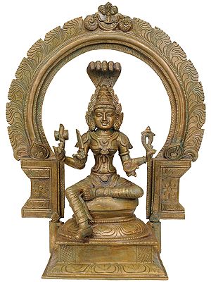South Indian Goddess Mariamman