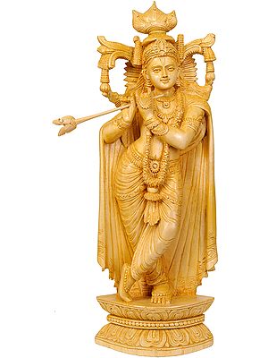 Bhagawan Shri Krishna