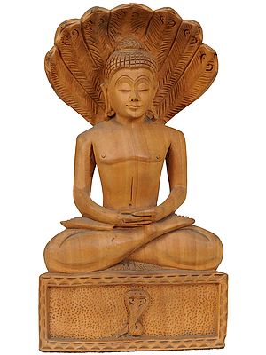 First Jain Tirthankara Rishabha Deva