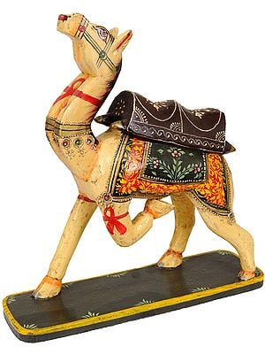 Decorated Saddled Camel