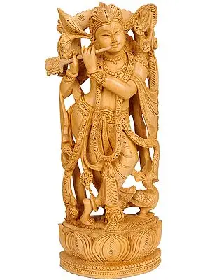 Murali Krishna