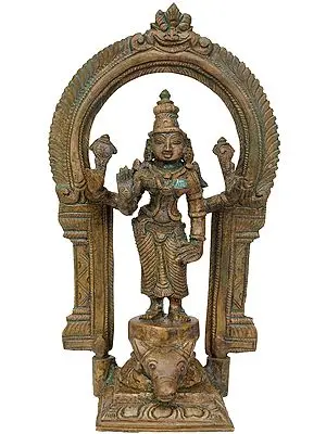 Devi Durga Standing Buffalo Head