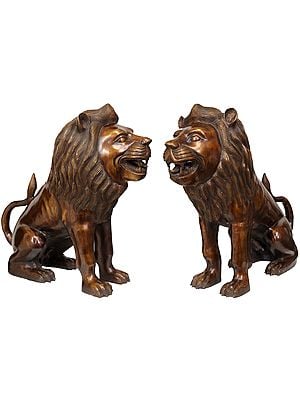 Pair of Lions Showpiece in Brass