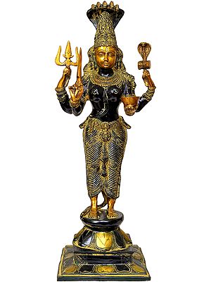 25" Mariamman In Brass | Handmade | Made In India
