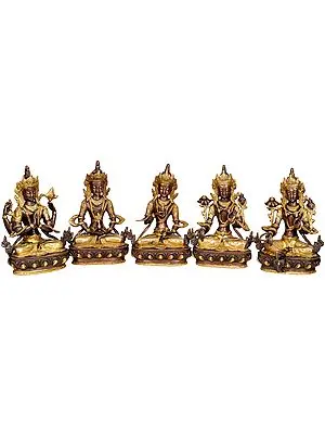 8" Tibetan Buddhist Deities Chenrezig, Amitabha, Vajrasattva, White Tara and Green Tara (Set of 5 Sculptures) In Brass | Handmade | Made In India