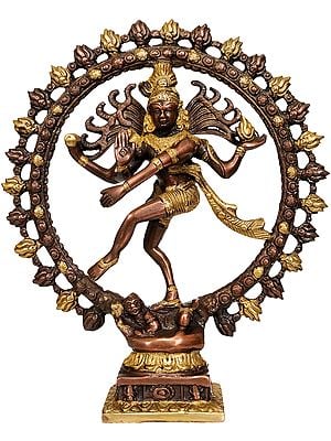 11" Nataraja Brass Sculpture | Handmade Statue | Made in India