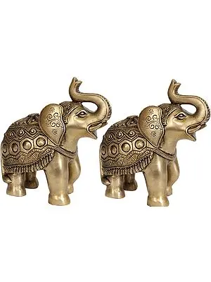 Decorated Elephant Pair with Upraised Trunks