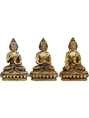 Tibetan Buddhist Deities Set of Three Buddhas (Blessing Buddha, Dhyani Buddha and Medicine Buddha)