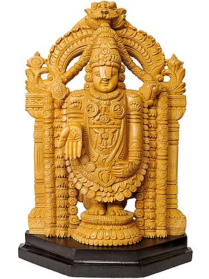 Bhagawan Venkateshvara as Tirupati Balaji