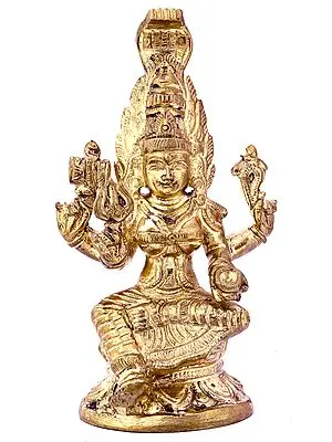 South Indian Goddess Durga
