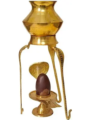 Assembly to Bath Shiva Linga with Dripping Vase for Milk