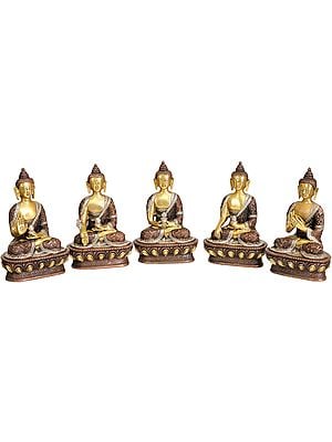 7" Tibetan Buddhist Deities Set of Five Buddhas In Brass | Handmade | Made In India