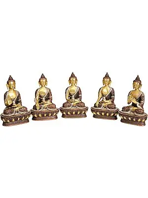 7" Tibetan Buddhist Deities Set of Five Buddhas In Brass | Handmade | Made In India