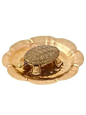 Tortoise on Plate
