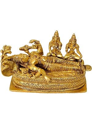 Shesha-shayi Vishnu with Shridevi and Bhudevi
