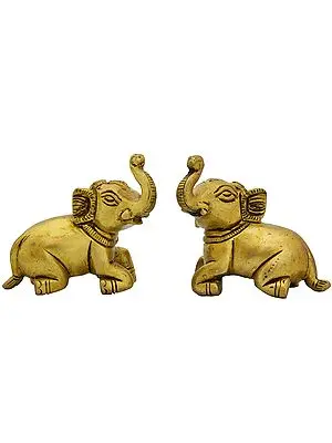 Pair of Elephants