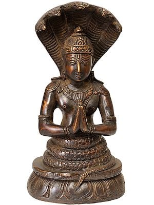 8" Sage Patanjali Brass Sculpture | Handmade | Made in India