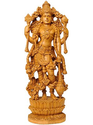 Standing Lord Vishnu