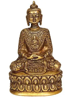 Dhyani Buddha with Beautiful Decorated Robe