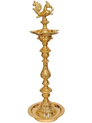 Peacock Lamp