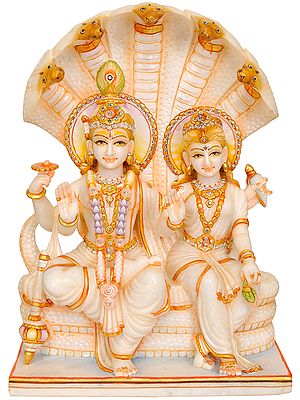 Lakshmi-Narayana on Sheshasana