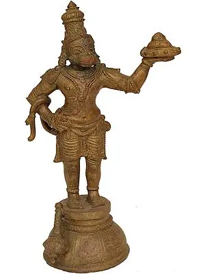 Lord Hanuman Carrying Mount Dron