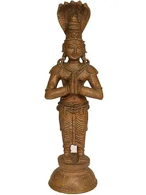 Patanjali