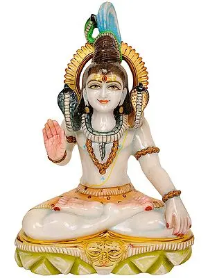 Bhagawan Shiva