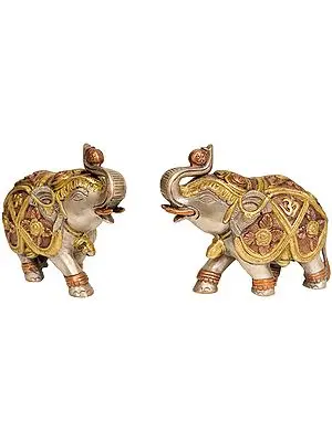 Pair of Elephants with OM