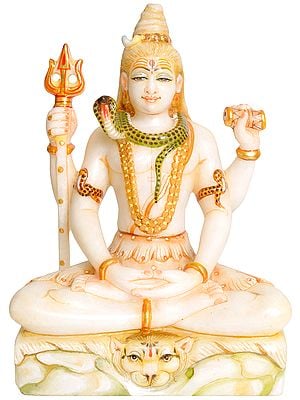 Bhagawan Shiva