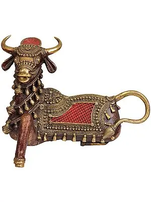 Tribal Nandi (Vrisha)