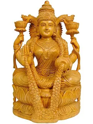 Goddess Lakshmi Raining Prosperity