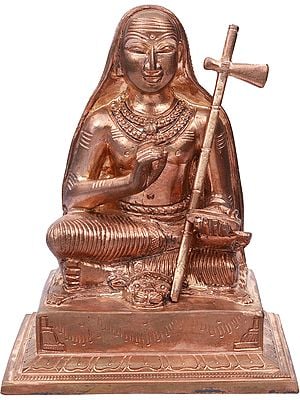 Adi Shankaracharya