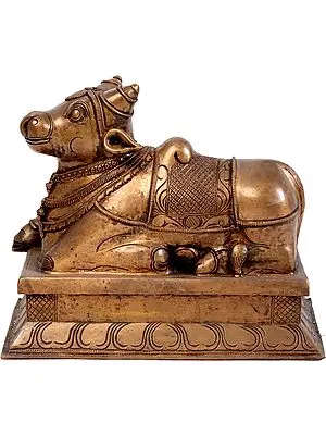 Nandi - The Mount of Shiva