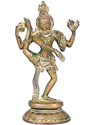 12" Exquisite Rudratandava Brass Sculpture – Divine Dance of Lord Shiva, Handmade in India