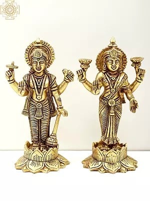 7" Lord Vishnu and Goddess Lakshmi Standing on Lotus | Handmade