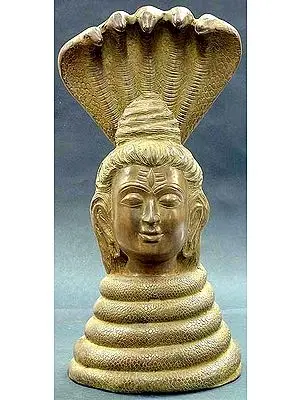 18" Shiva as Nagaraja in Brass | Handmade | Made In India