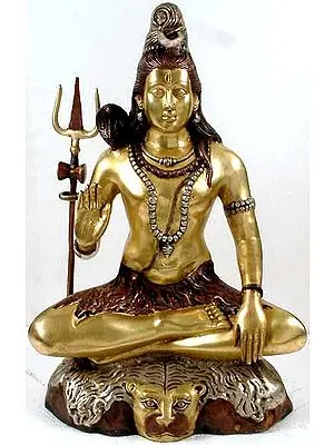 22" Bhava Shiva (A Particularly Beneficent Aspect) In Brass | Handmade | Made In India