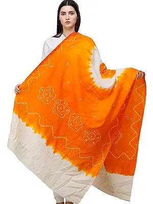 Bandhani Tie-Dye Shawl From Gujarat with Embroidered Mirrors