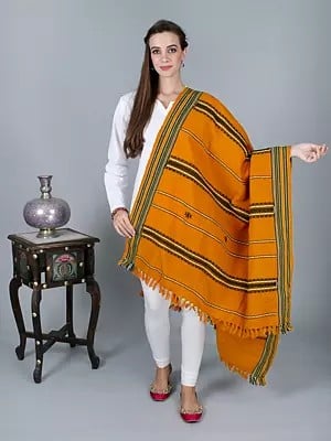 Shawl from Nagaland with Woven Border and Thread Weave