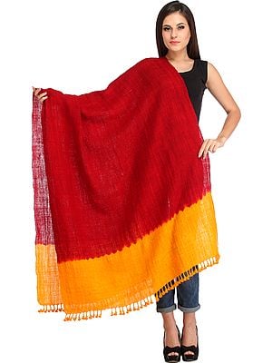 Double-Shaded Tie-Dye Shawl from Kutch