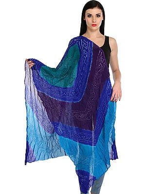 Multicolored Crinkled Bandhani Tie-Dye Stole