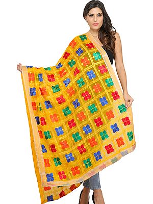 Phulkari Dupatta from Punjab with Embroidery All-Over