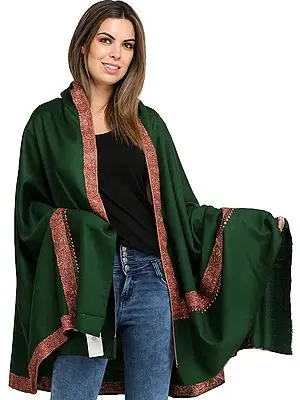 Bayberry-Green Plain Tusha Shawl from Amritsar  with Sozni Hand-Embroidery on Border