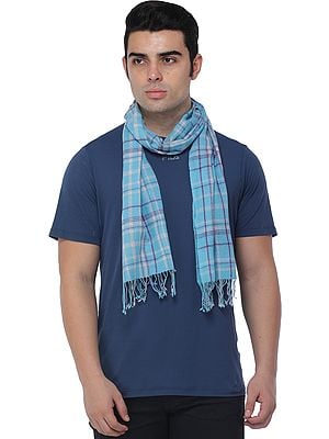 Cashmere Men's Scarf from Nepal with Checks Weave