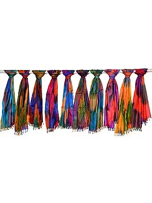 Lot of Ten Rainbow Banarasi Pure Silk Scarves with Tanchoi Weave