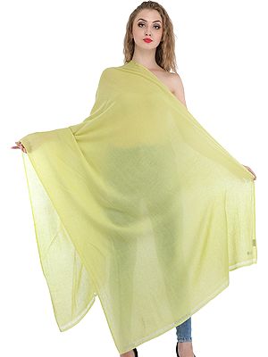 Plain Woven Pure Cashmere Shawl from Nepal