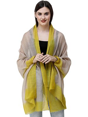 Gray Stole from Amritsar with Dyed Solid Border